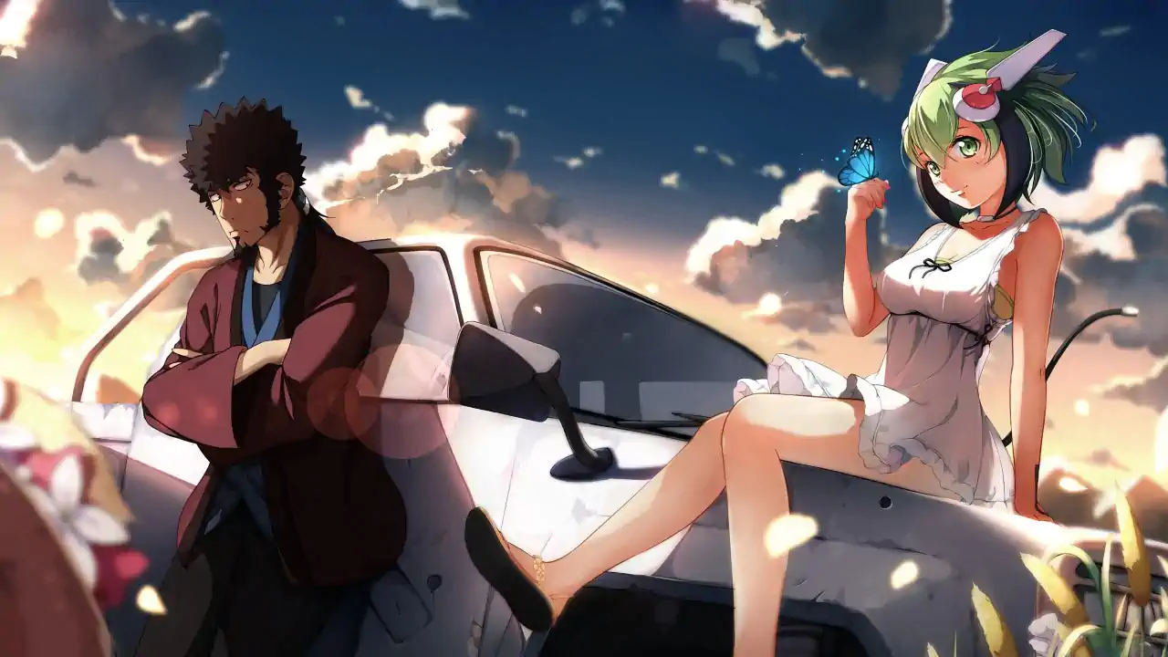 Dimension W