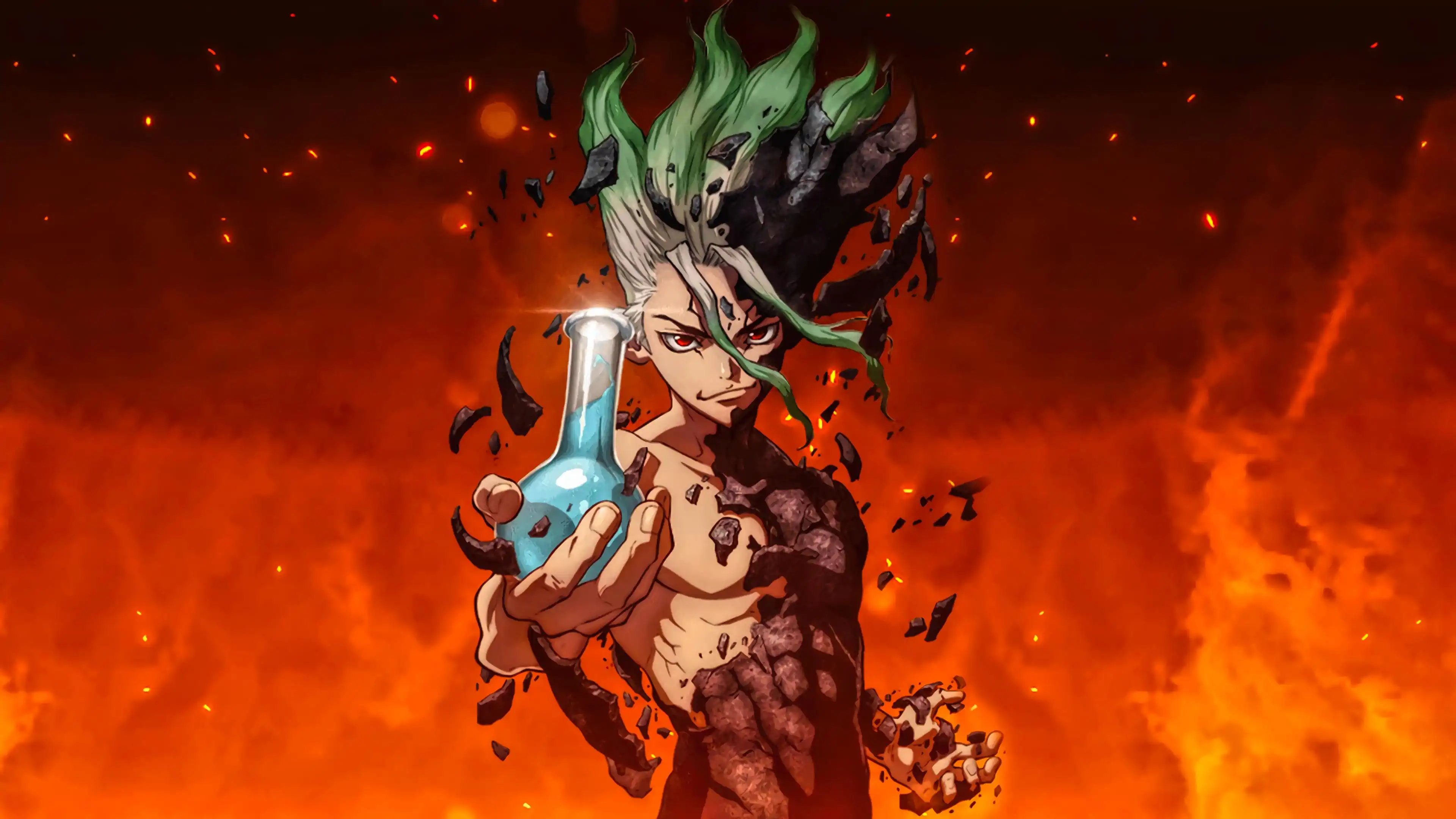 Dr Stone